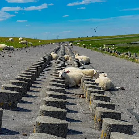 Ferienhaus Hornhecht Dornumersiel