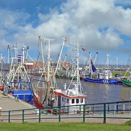 Hornhecht Dornumersiel