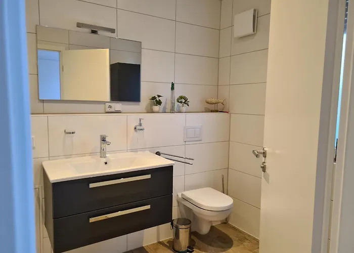 Hornhecht Dornumersiel