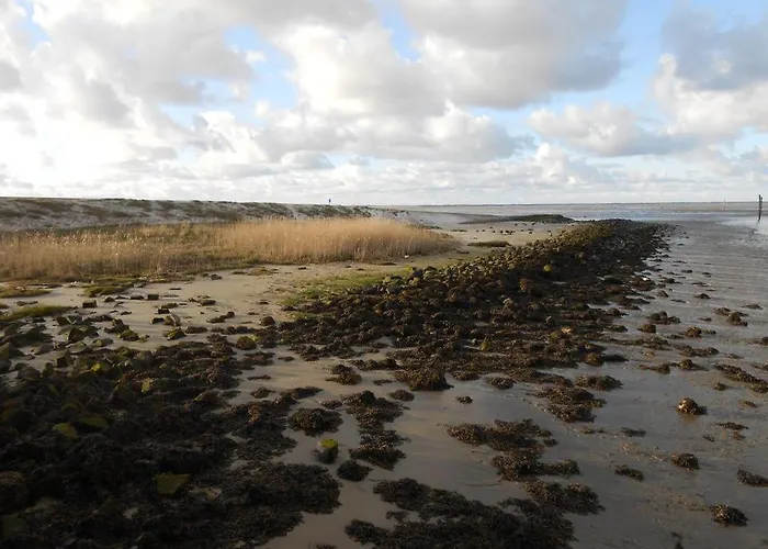 Hébergement de vacances Hornhecht *