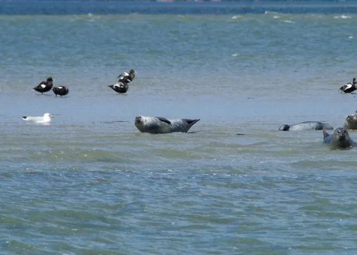 Hébergement de vacances Hornhecht