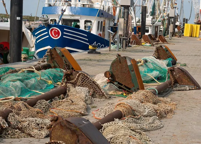 Hornhecht * Dornumersiel